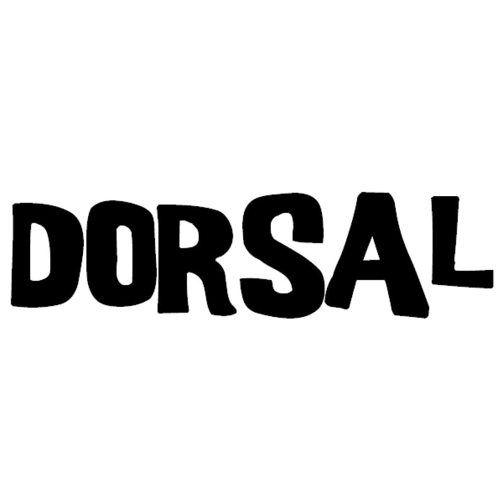 DORSAL Surf Locking Straps Theft Resistant Reinforced Roof Rack Pad Tie Downs