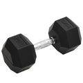Vidaxl Dumbbells 20 kg Cast Iron