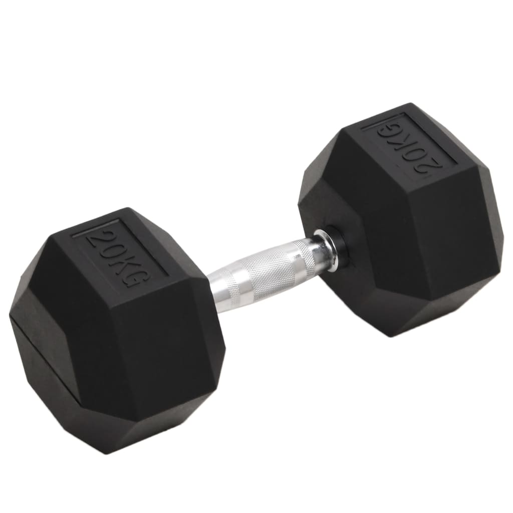 Vidaxl Dumbbells 20 kg Cast Iron