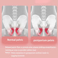 Adjustable Pelvic Floor & Kegel Trainer for Women's Home Gym