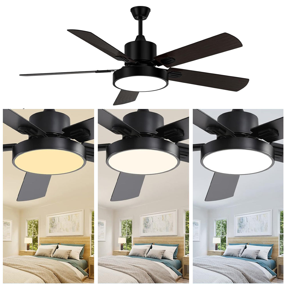 Ceiling fan with light and remote control