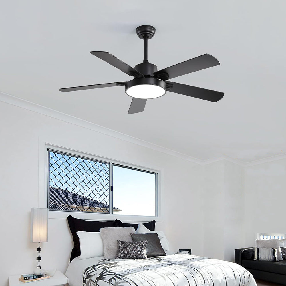 Ceiling fan with light and remote control